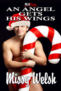 An Angel Gets His Wings (Wonderful Life #2)
