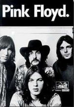 Pink Floyd (Paperback)