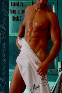 Max & Parker (Tempation Series #2)