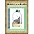 Rabbit in a Bottle