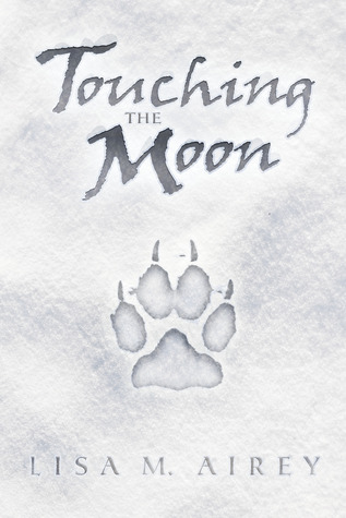 Touching the Moon (Paperback)