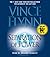 Separation of Power by Vince Flynn