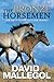 The Bronze Horsemen by David Mallegol