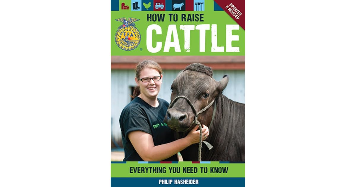 How to Raise Cattle Everything You Need to Know, Updated Revised by