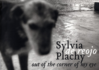 Out of the Corner of My Eye: de reojo