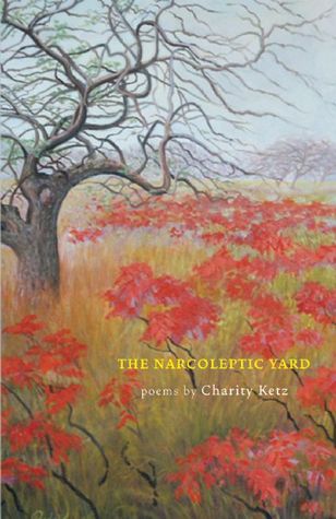 The Narcoleptic Yard (Paperback)