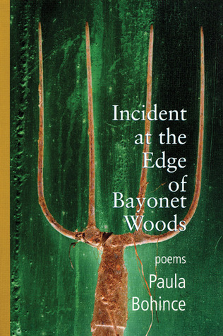 Incident at the Edge of Bayonet Woods: Poems (Paperback)