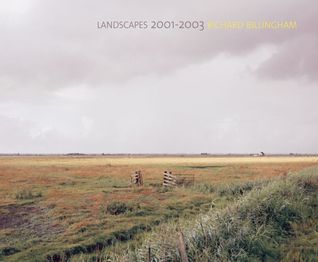 Landscapes: 2001-2003