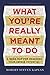 What You're Really Meant To Do by Robert Steven Kaplan