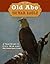 Old Abe the War Eagle by Richard Zeitlin