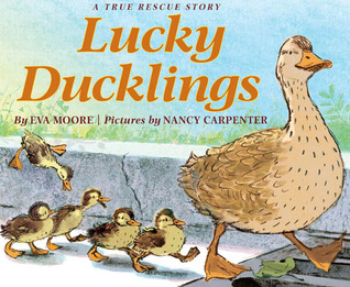Lucky Ducklings (Hardcover)