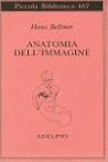 Anatomia dell'imm...