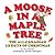 Moose In A Maple Tree