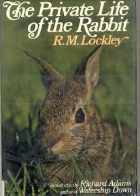 The Private Life of the Rabbit: An Account of the Life History and Social Behavior of the Wild Rabbit
