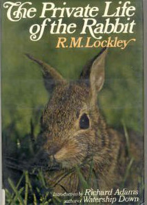 The Private Life of the Rabbit: An Account of the Life History and Social Behavior of the Wild Rabbit