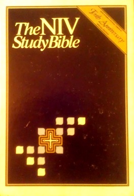 Holy Bible: Niv Study Bible: New International Version
