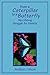 From a Caterpillar to a Butterfly: My Lifelong Struggle for Identity