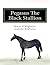 Pegasus The Black Stallion