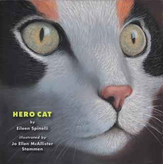 Hero Cat (Hardcover)