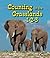 Counting in the Grasslands ...