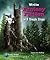 Write Fantasy Fiction in 5 Simple Steps (Creative Writing in 5 Simple Steps)