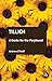 Tillich: A Guide for the Perplexed (Guides for the Perplexed)