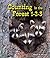 Counting in the Forest 1-2-3 (All About Counting in the Biomes: Guided Reading Level: A)