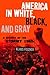 America in White, Black And Gray: The Stormy 1960s