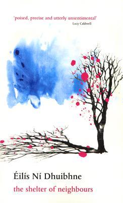 The Shelter of Neighbours: Fourteen Contemporary Irish Short Stories