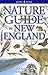 Nature Guide to New England by Erin McCloskey