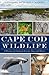 Cape Cod Wildlife:: A History of Untamed Forests, Seas and Shores