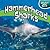 Hammerhead Sharks (Under the Sea)