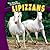 Lipizzans (The World of Horses)