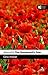 Atwood's The Handmaid's Tale (Reader's Guides)