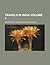 Travels in India Volume 1 by Jean-Baptiste Tavernier