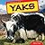 Yaks (The Animals of Asia)