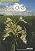 Native Orchids of Minnesota by Welby R. Smith