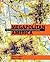Megapolitan America by Arthur C. Nelson