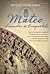 Mateo, el maestro de Compostela (Spanish Edition)