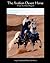 The Arabian Desert Horse by Doreen Haggard