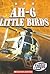 AH-6 Little Birds