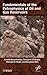 Fundamentals of the Petroph...
