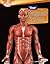 Your Muscular System (Searc...