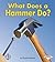 What Does a Hammer Do? (First Step Nonfiction: Tools at Work)