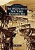 The 1972 Flood in New York's Southern Tier (Images of America: New York)
