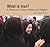 What Is Iran?: A Primer on Culture, Politics and Religion