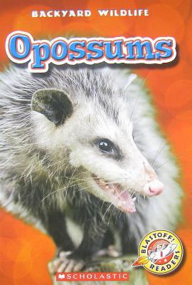 Opossums (Blastoff! Readers: Backyard Wildlife Level 1)
