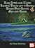 Easy Irish and Celtic Tunes for 5-String Banjo Book/CD Set