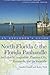 Explorer's Guide North Florida & the Florida Panhandle: Includes St. Augustine, Panama City, Pensacola, and Jacksonville (Explorer's Complete)