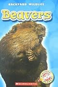 Beavers